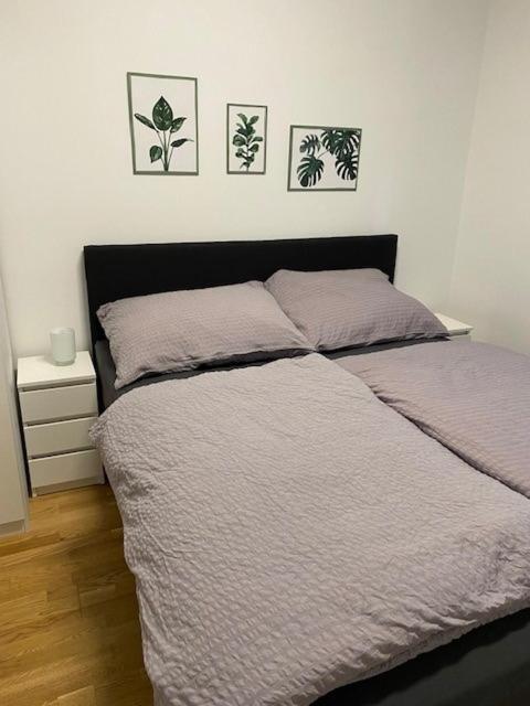 Paky Appartements 00322 Брук ан дер Лайта Екстериор снимка